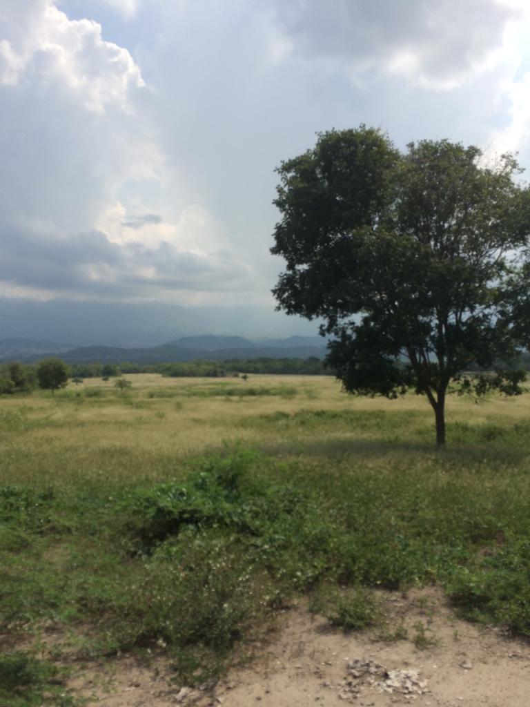 Finca en venta en Honda  Tolima