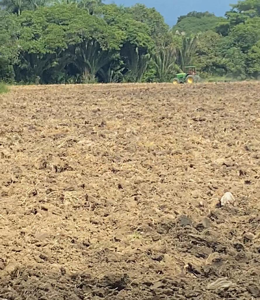 Finca en venta en el Tolima