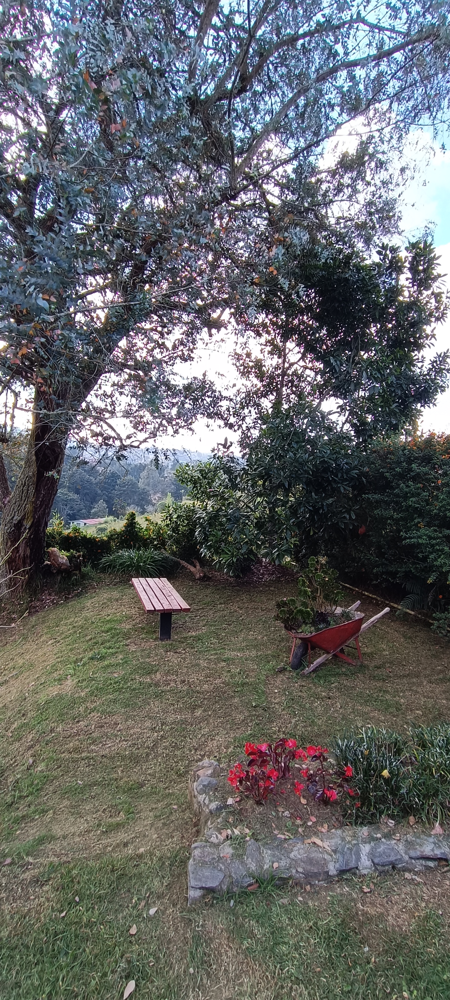 Venta de cabaña en Santa Elena Vereda El Cerro