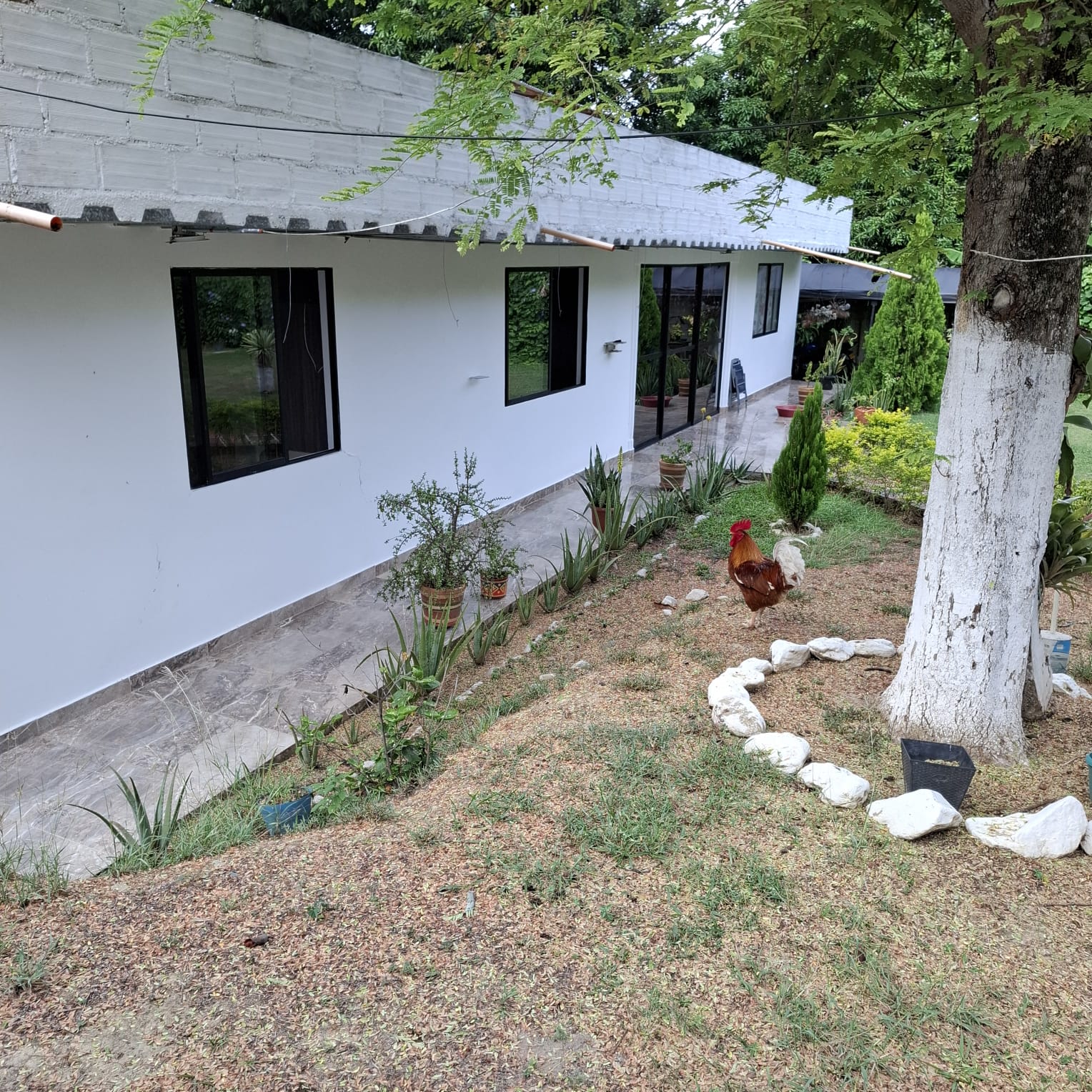Venta de finca en Santa fe de Antioquia