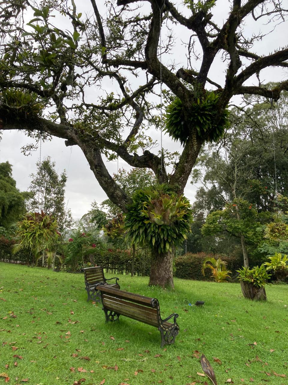 Casa finca en arriendo en Rionegro Llanogrande