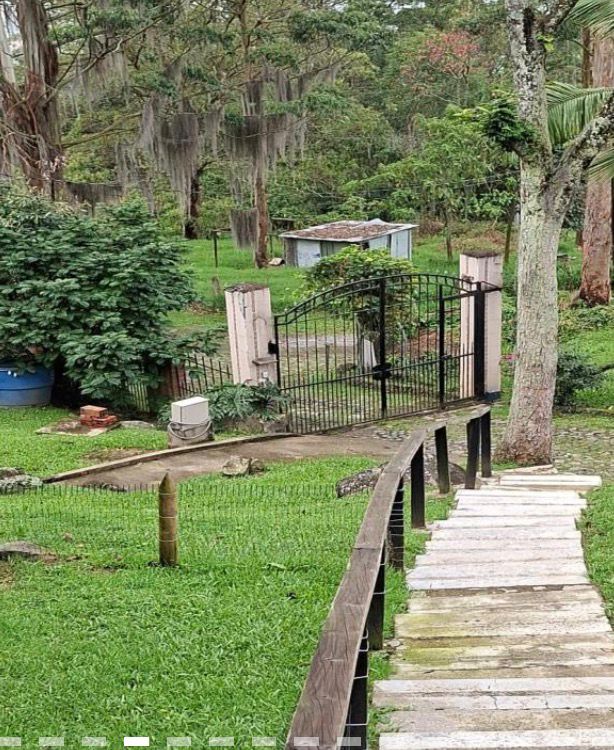 Venta Casa o Lote Estratégico En Los Balsos El Poblado Medellín