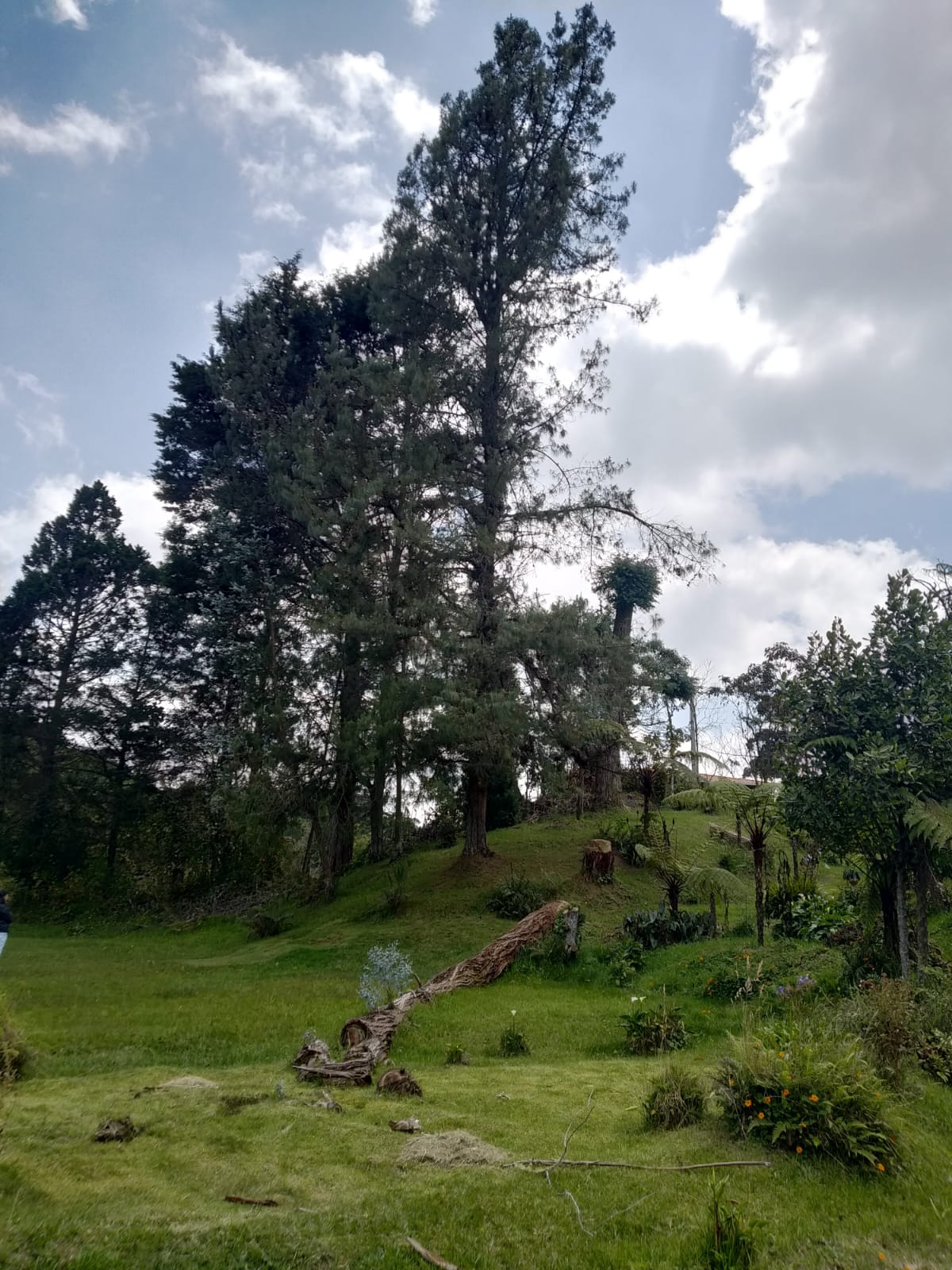 Casa finca  en venta en Santa Elena