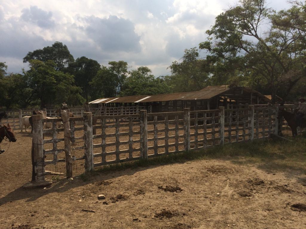 Finca en venta en Honda  Tolima