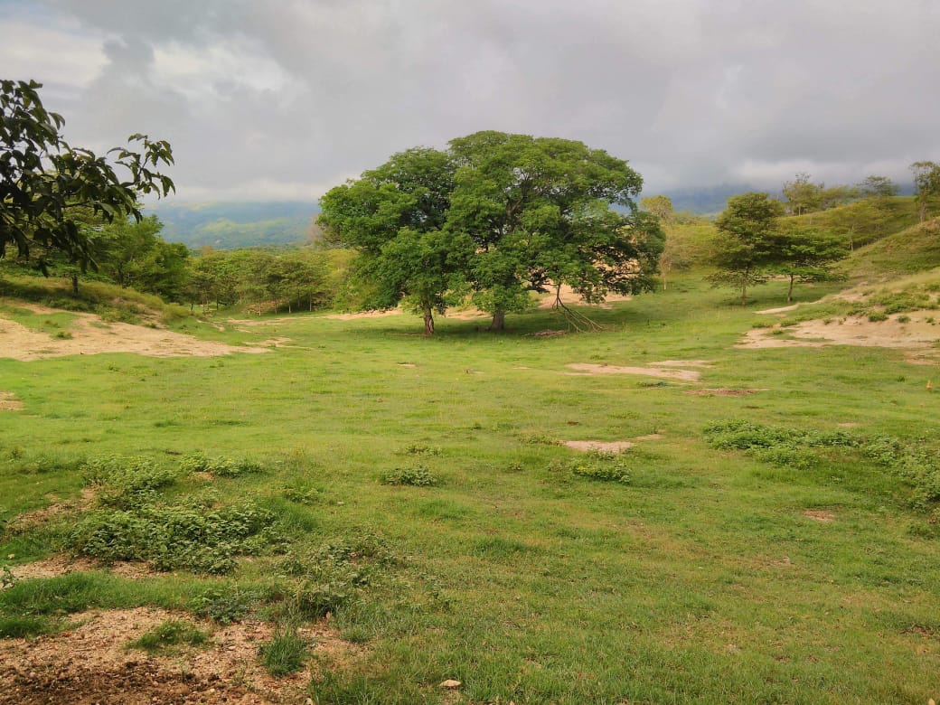 Finca en venta en Beltran  Cundinamarca