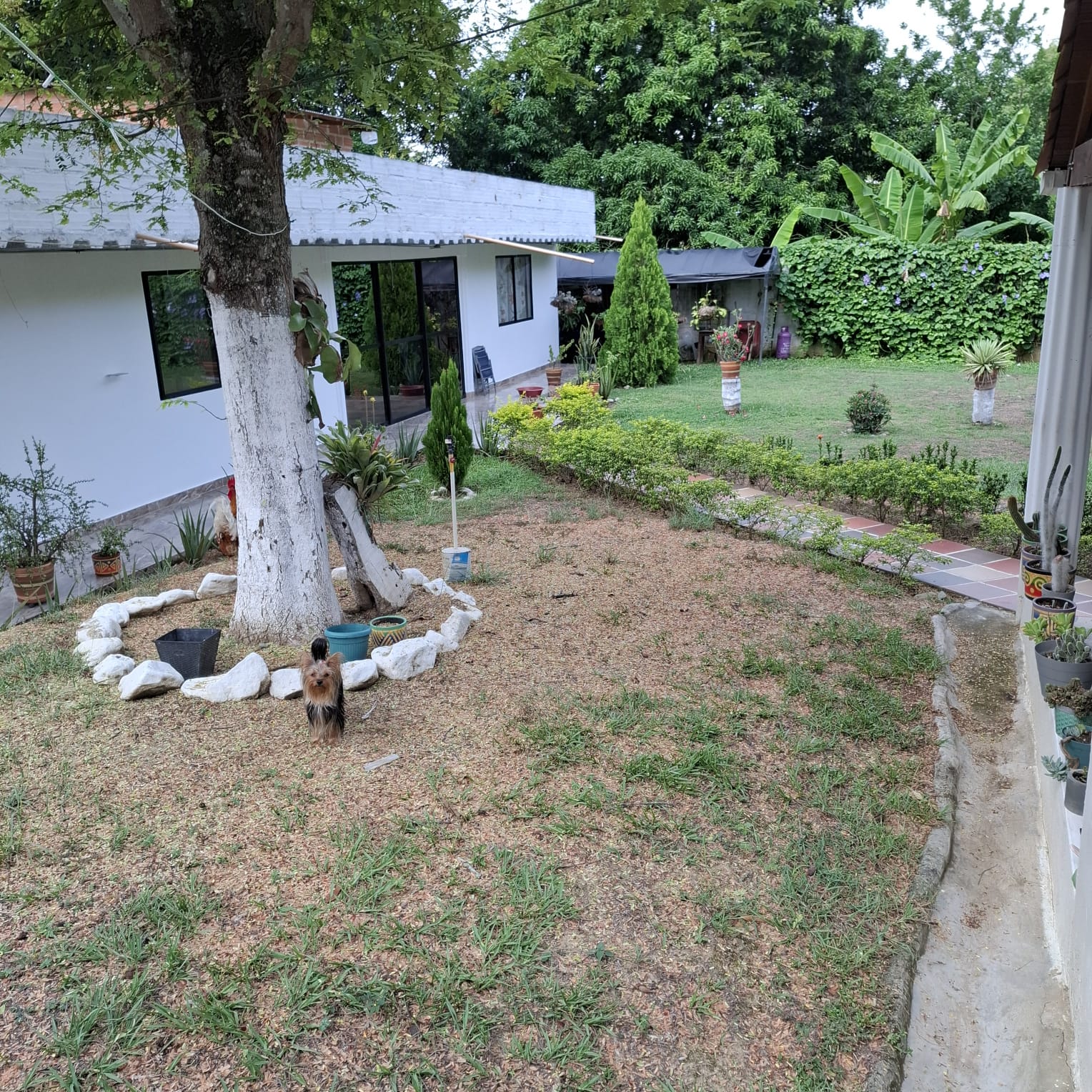 Venta de finca en Santa fe de Antioquia