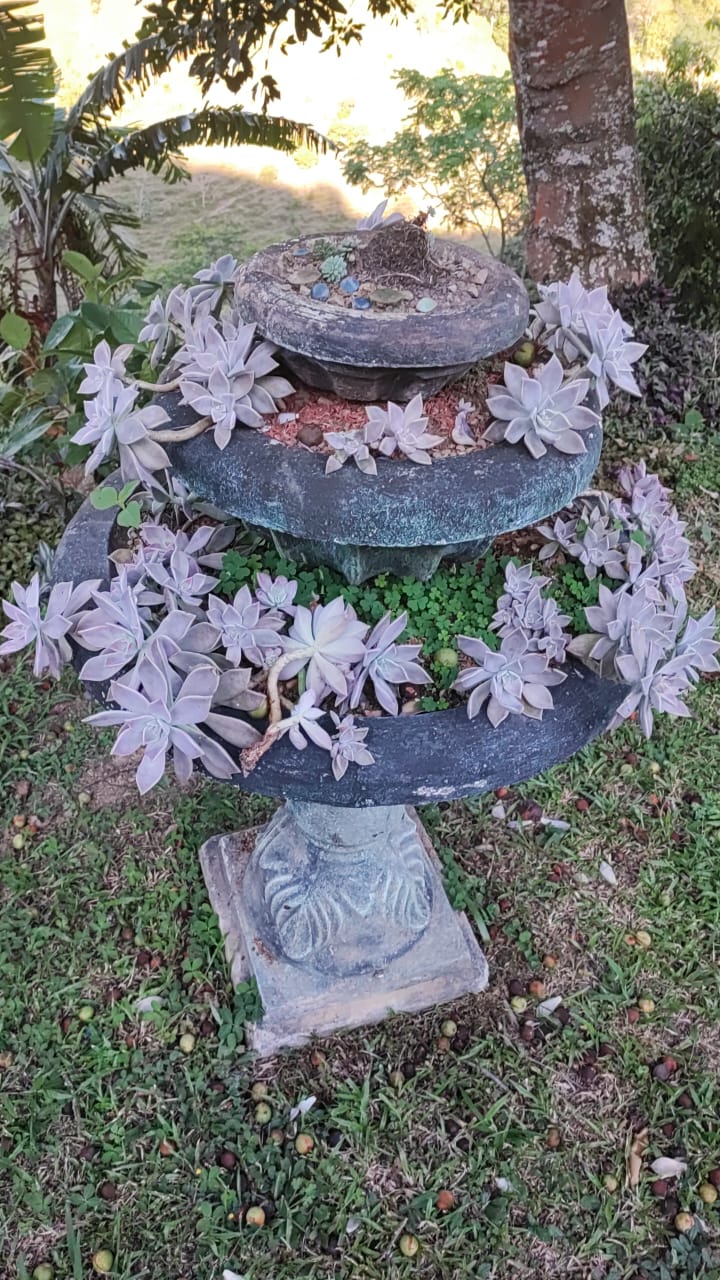 Vencambio Finca con dos casas, vereda de Sopetrán