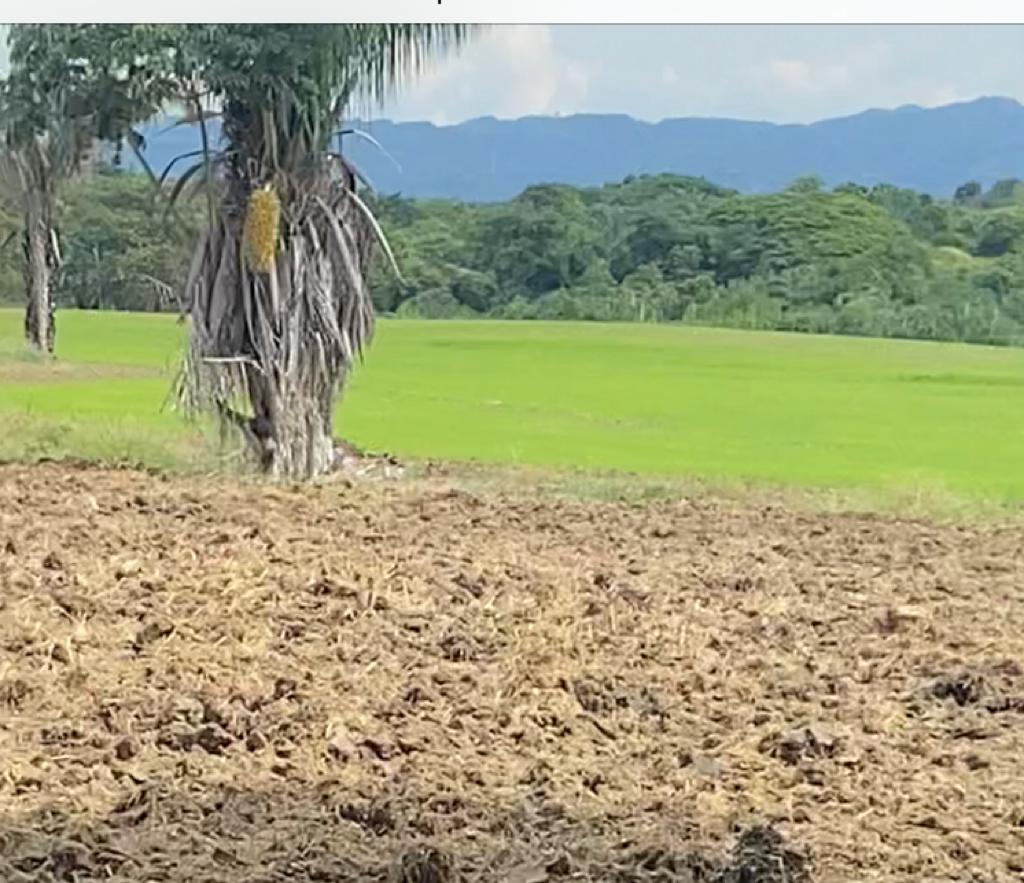 Finca en venta en el Tolima