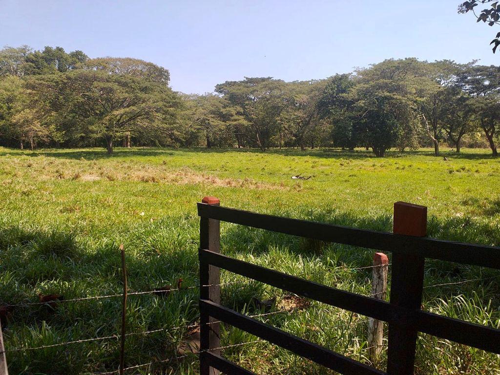 Finca en venta en el Tolima
