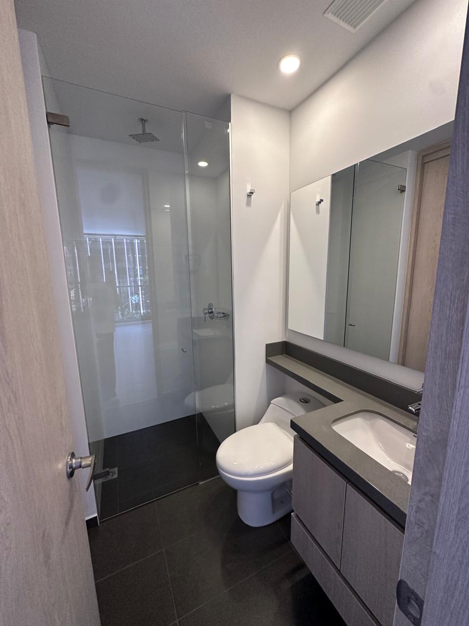 Venta de apartamento en Palmas sector Padre Marianito