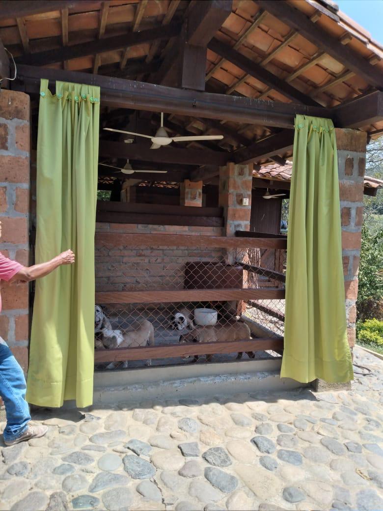 SE VENDE FINCA EN LA PINTADA  (ANTIOQUIA)