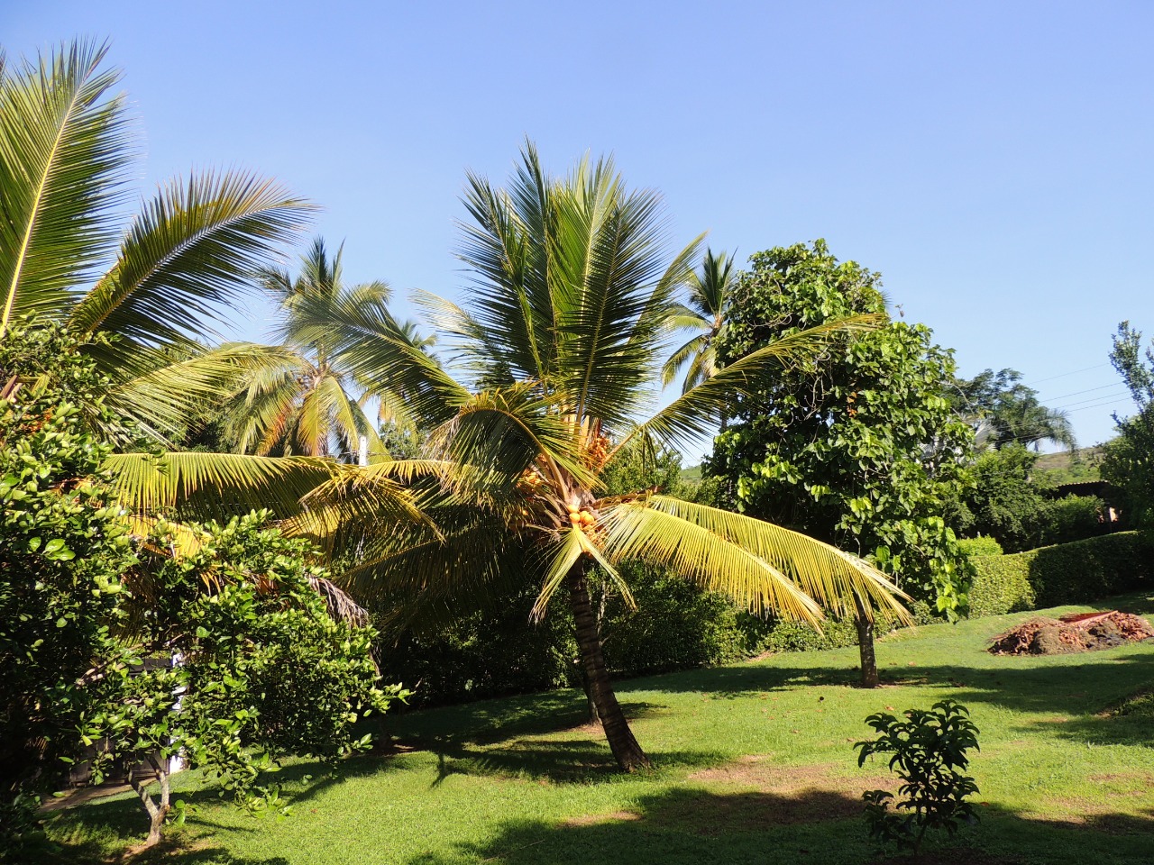 Finca en Venta en Sopetran Antioquia