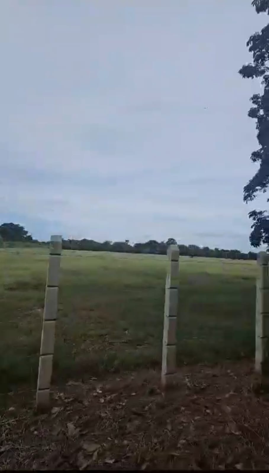 Vendo Finca Ganadera Momil Cordoba