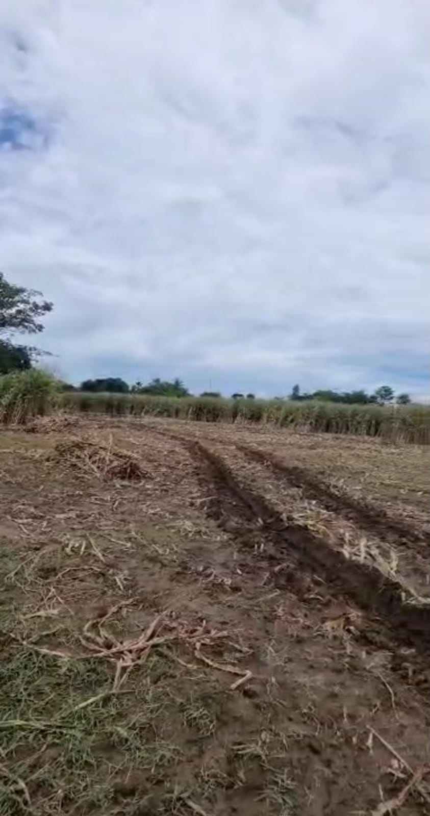 Venta de Finca Tecnificada para la Ganadería y Agricultura Córdoba