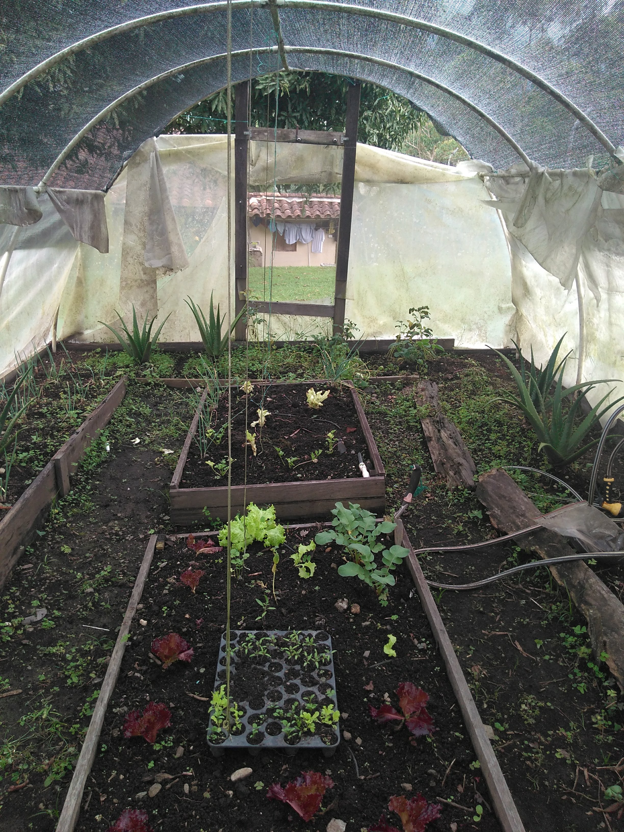 Venta de casa finca en Caldas, Vereda La Calle Zona la Clara