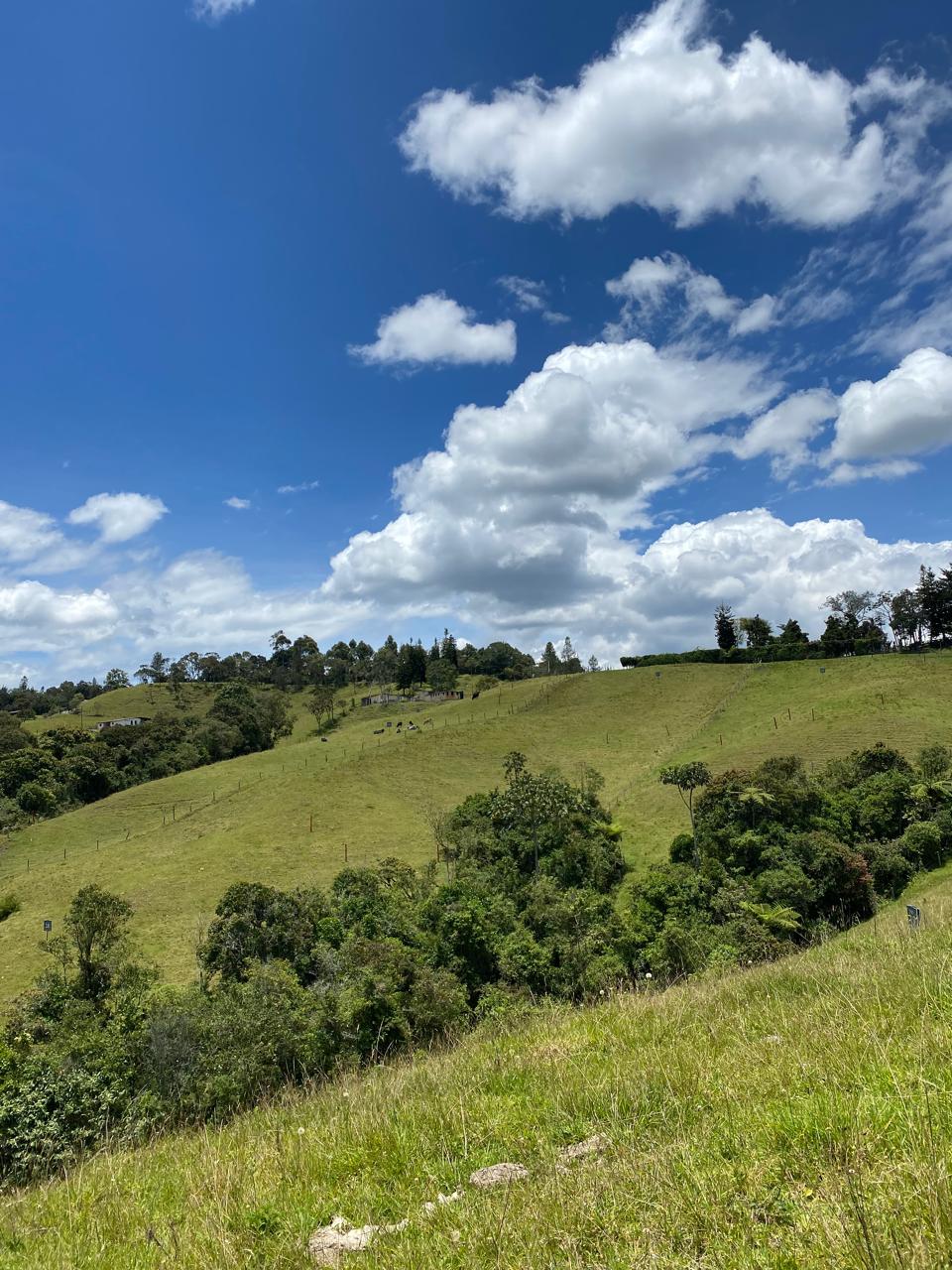 Lote para la venta en El Retiro sector Pantanillo