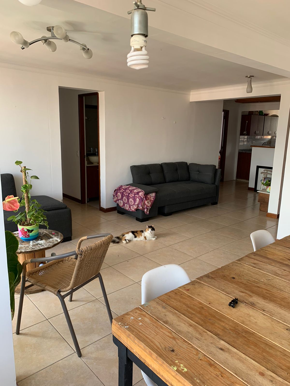 Apartamento en venta Medellin Loma de los Bernal