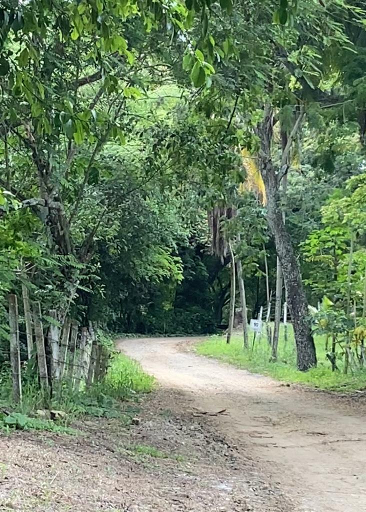 Finca en venta en el Tolima
