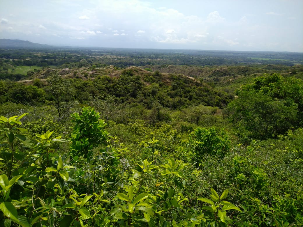 Finca en venta en Beltran  Cundinamarca