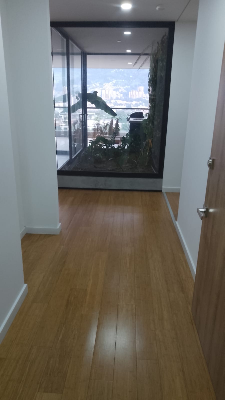 Apartamento en Venta en El Poblado Medellin Zona Plana