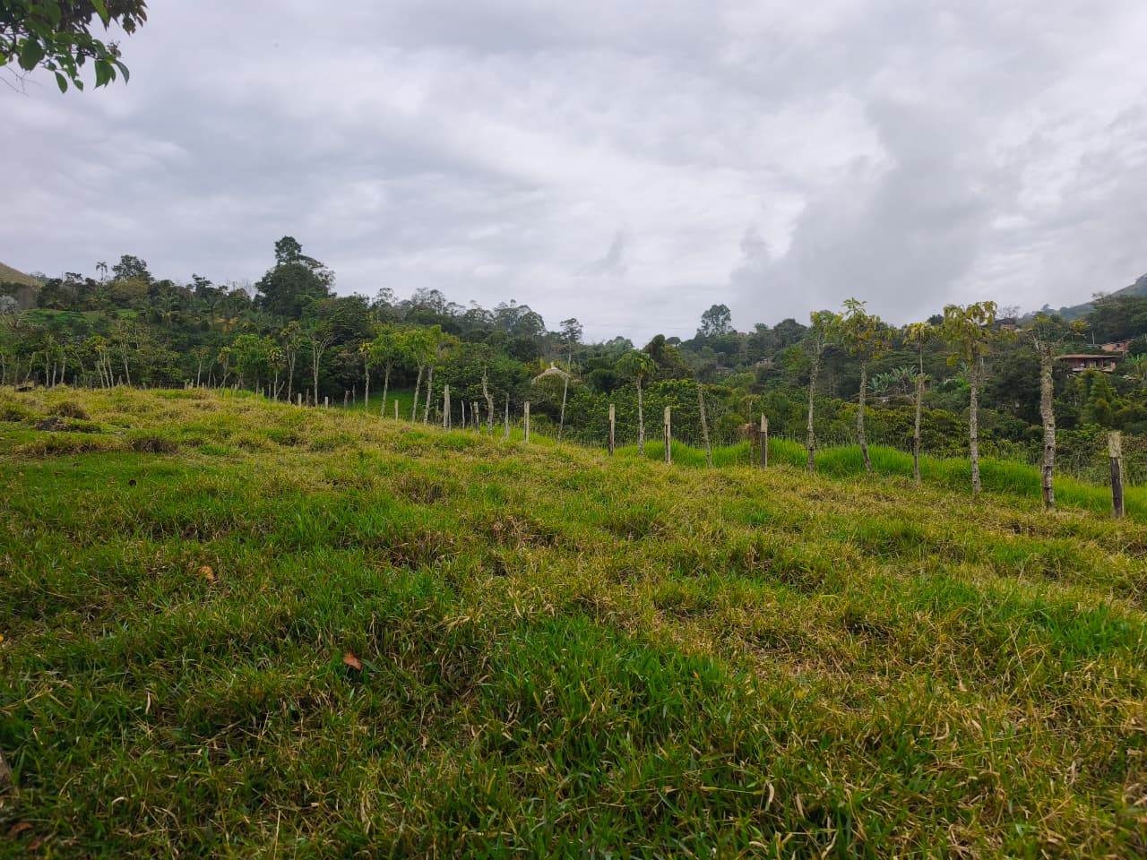 Finca en venta Titiribí Antioquia sector jardín