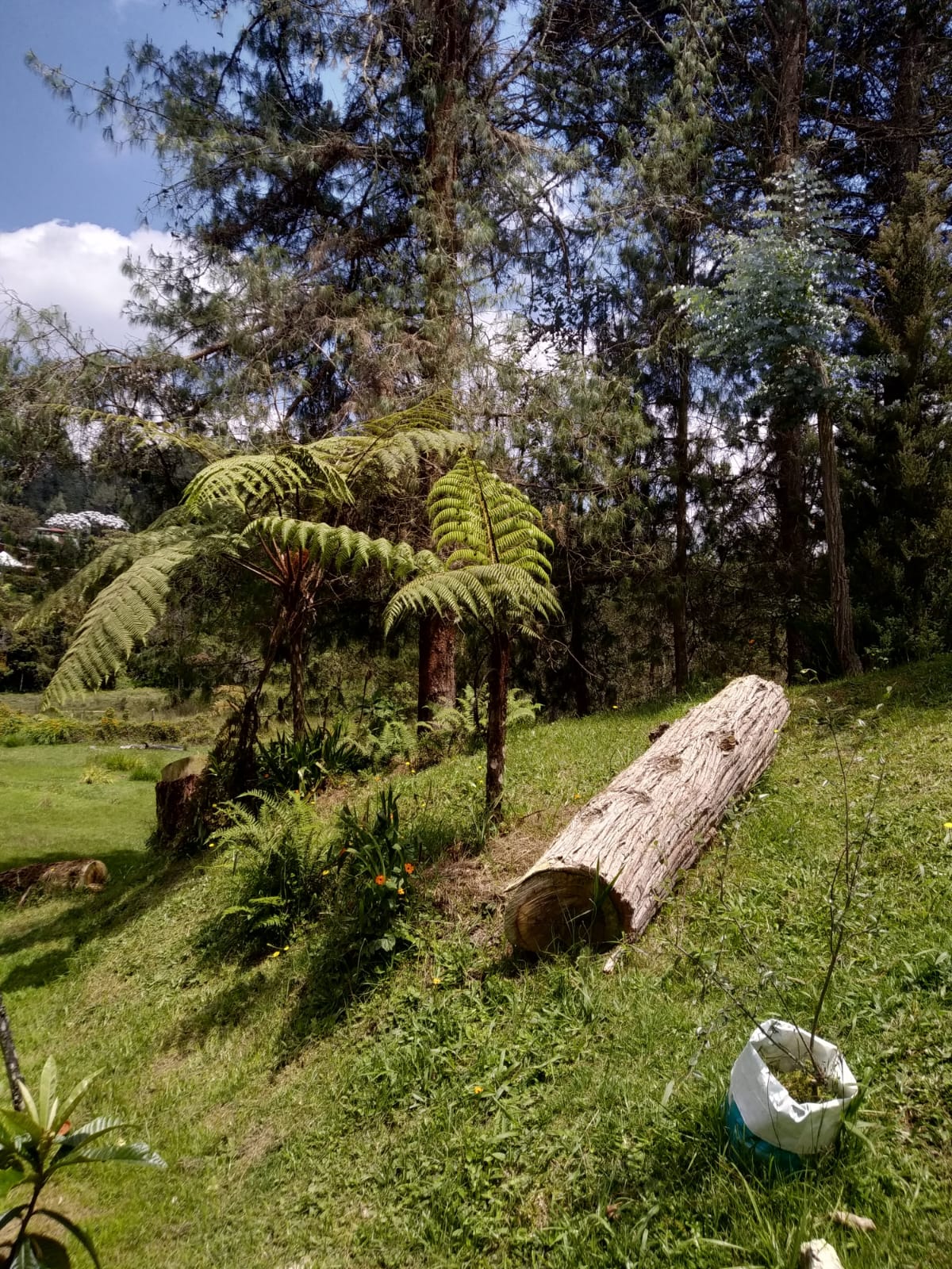 Casa finca  en venta en Santa Elena