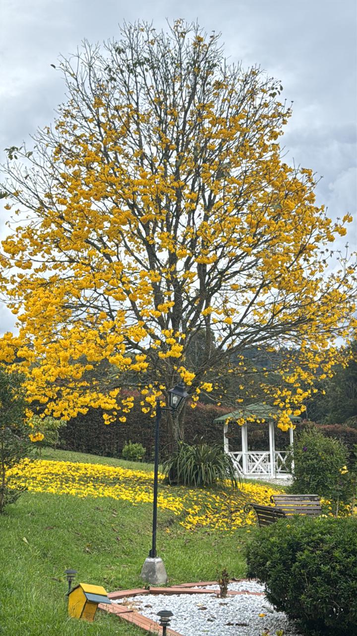 Hermosa Casa Finca en Venta  el Retiro Antioquia