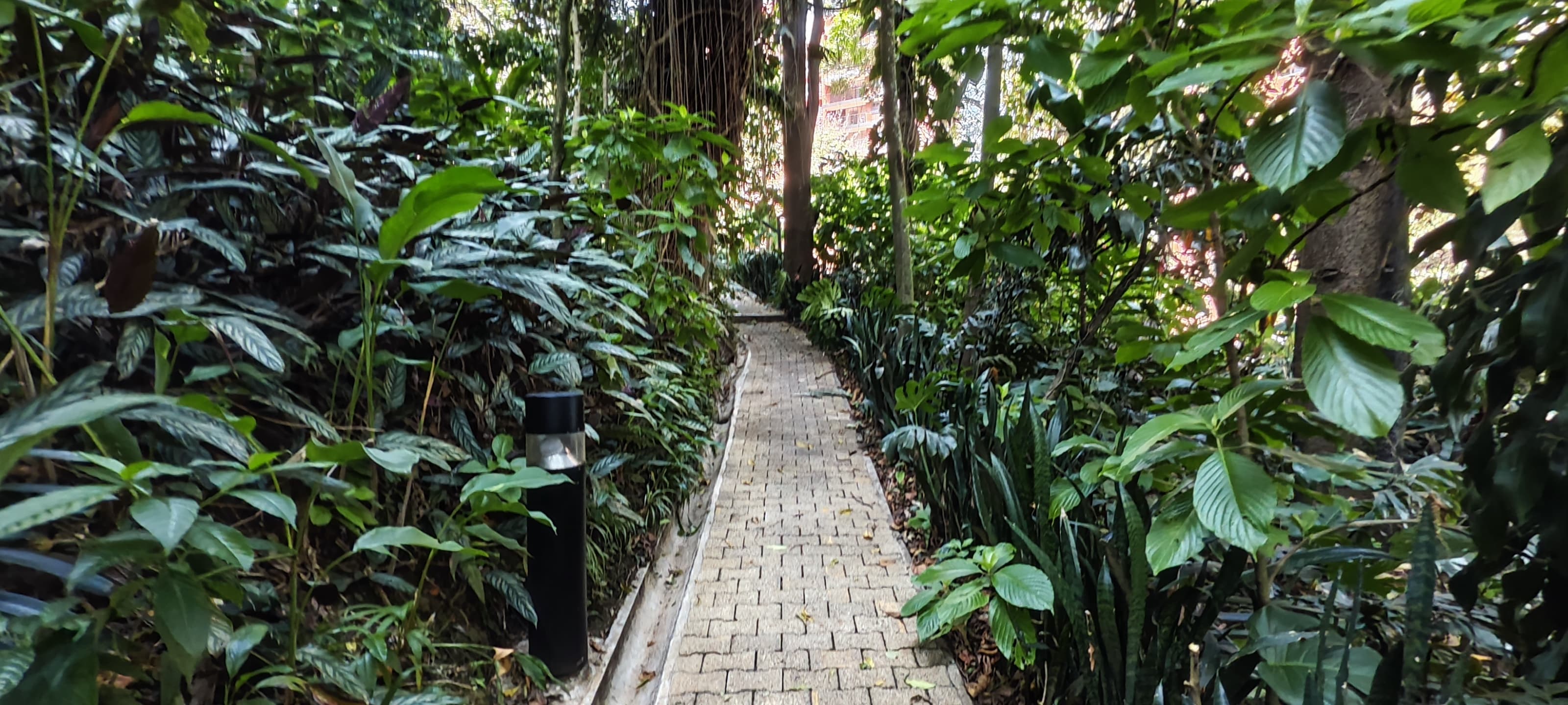 Apartamento para la venta en Loma de Los Gonzalez Poblado Medellin