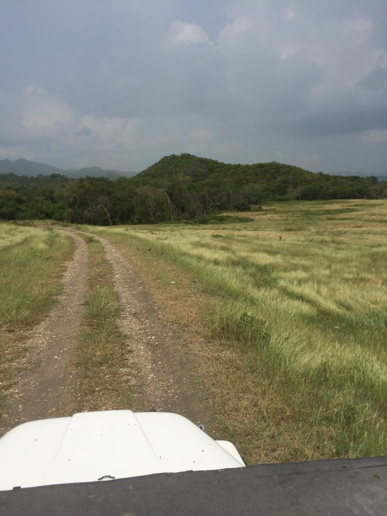 Finca en venta en Honda  Tolima