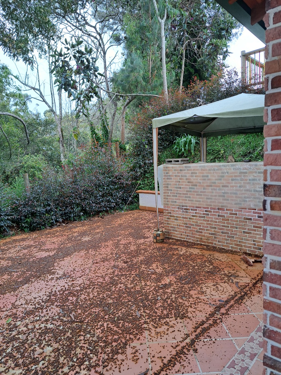 Casa campestre para arriendo en Las Palmas Envigado