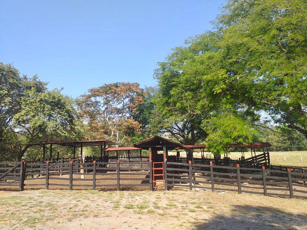 Finca en venta en el Tolima