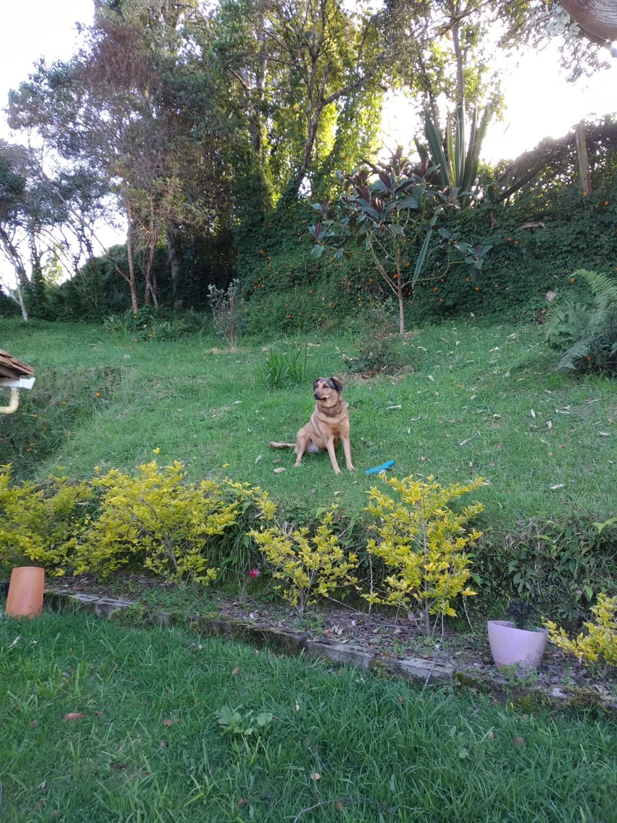 Casa finca  en venta en Santa Elena