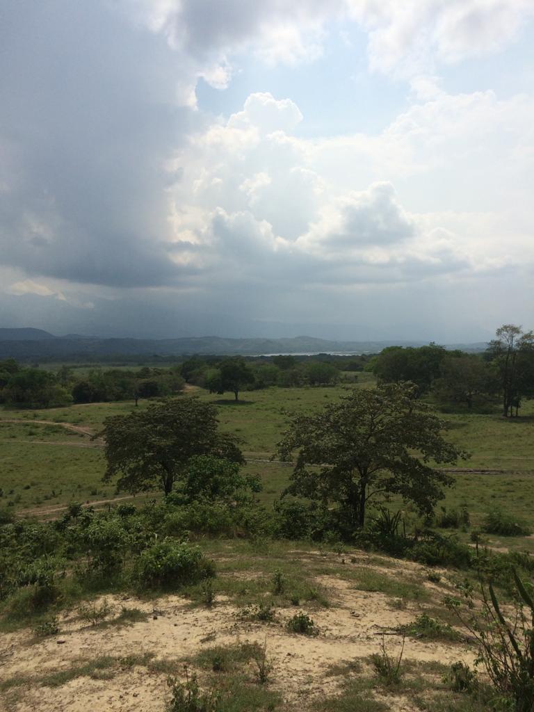 Finca en venta en Honda  Tolima