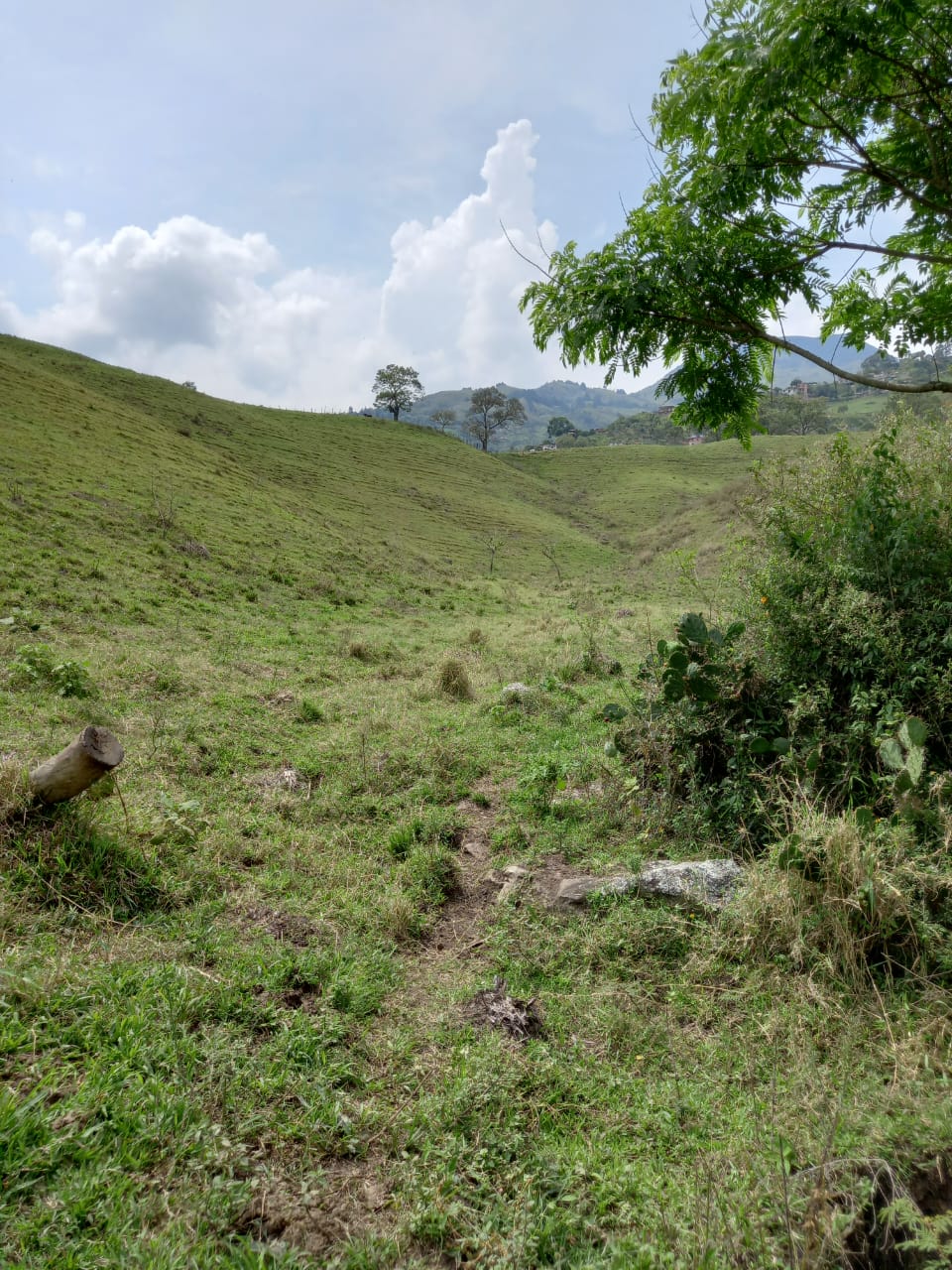 Lote  para la venta en Girardota  Antioquia