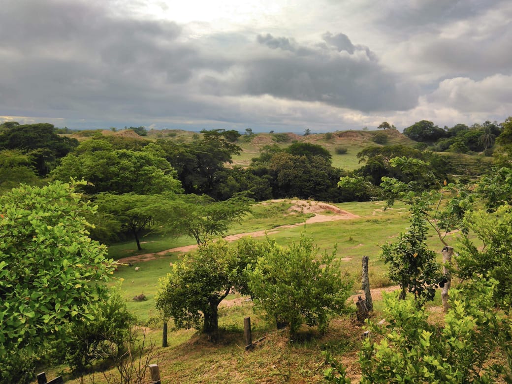 Finca en venta en Beltran  Cundinamarca