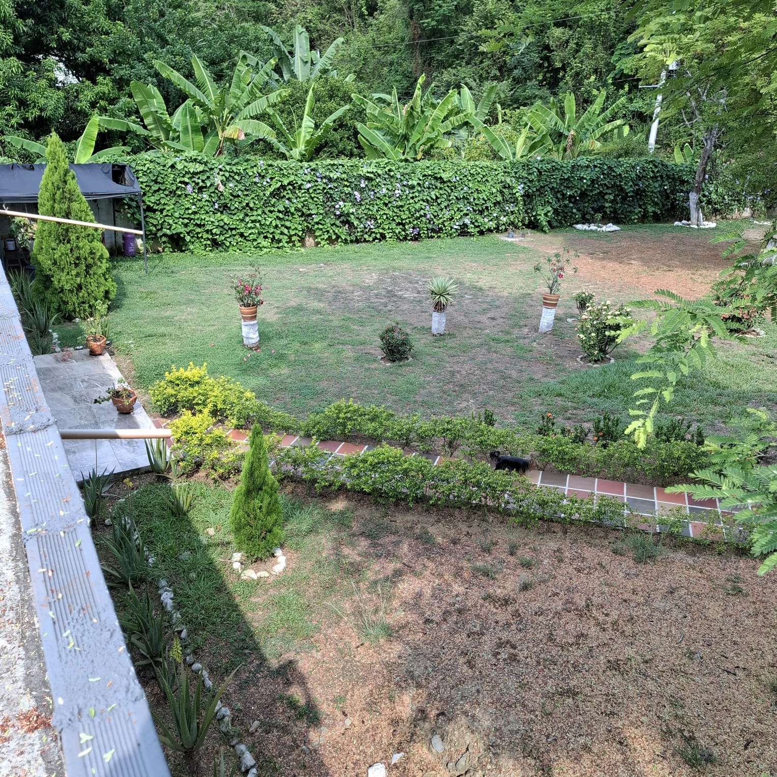 Venta de finca en Santa fe de Antioquia