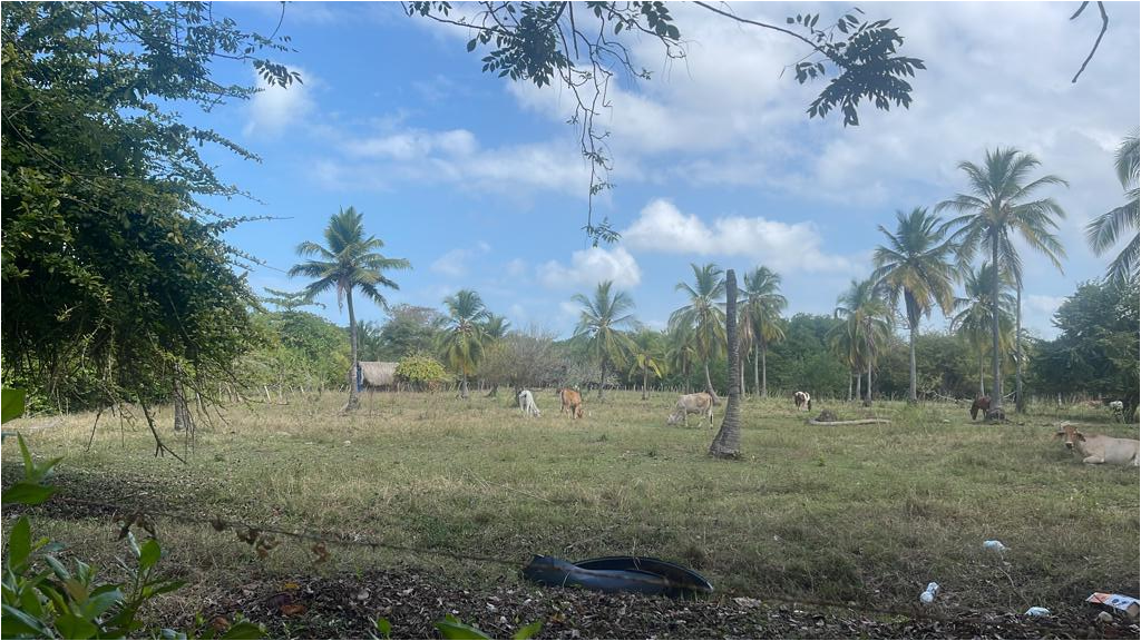 Hotel para la venta en Moñitos Córdoba