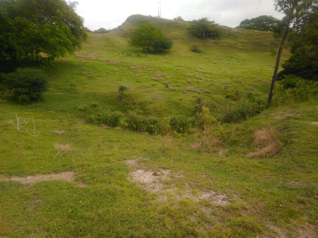 Finca en venta en Beltran  Cundinamarca