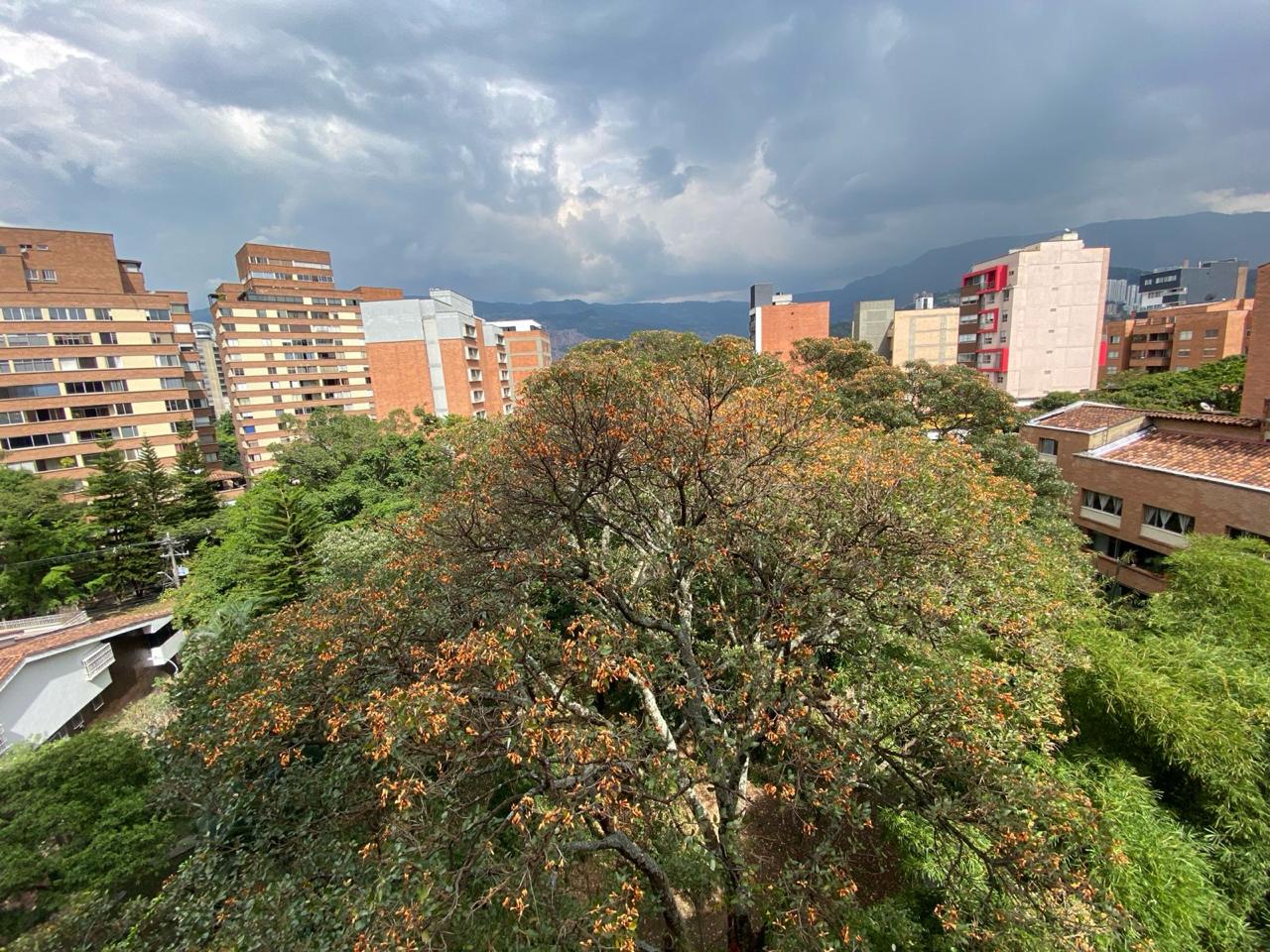 Apartamento en venta  en Conquistadores - Medellín