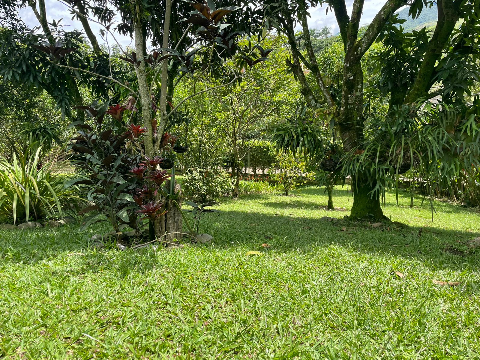 Finca para la venta en Copacabana  Antioquia