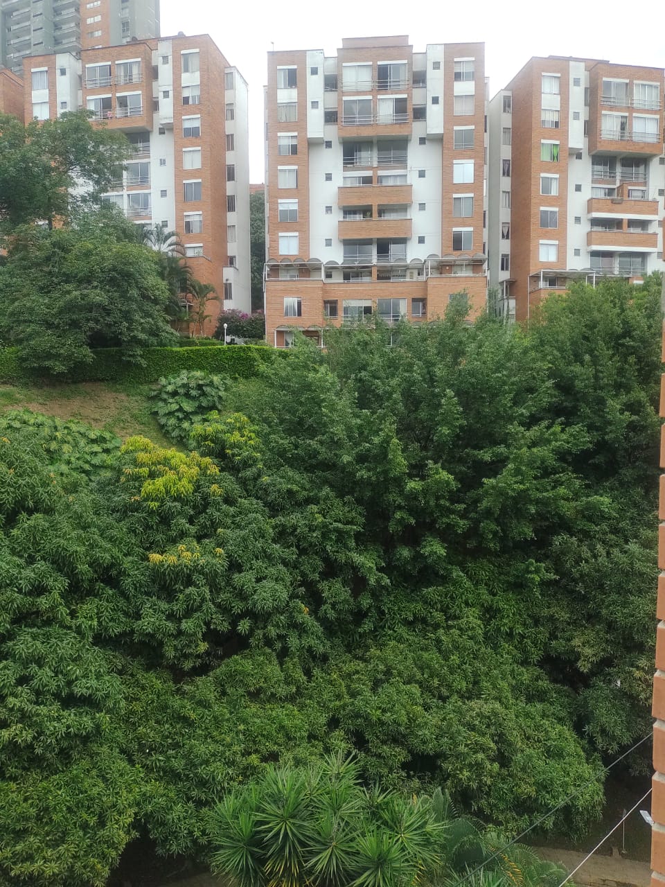 Apartamento en Venta Medellin Loma de los Bernal