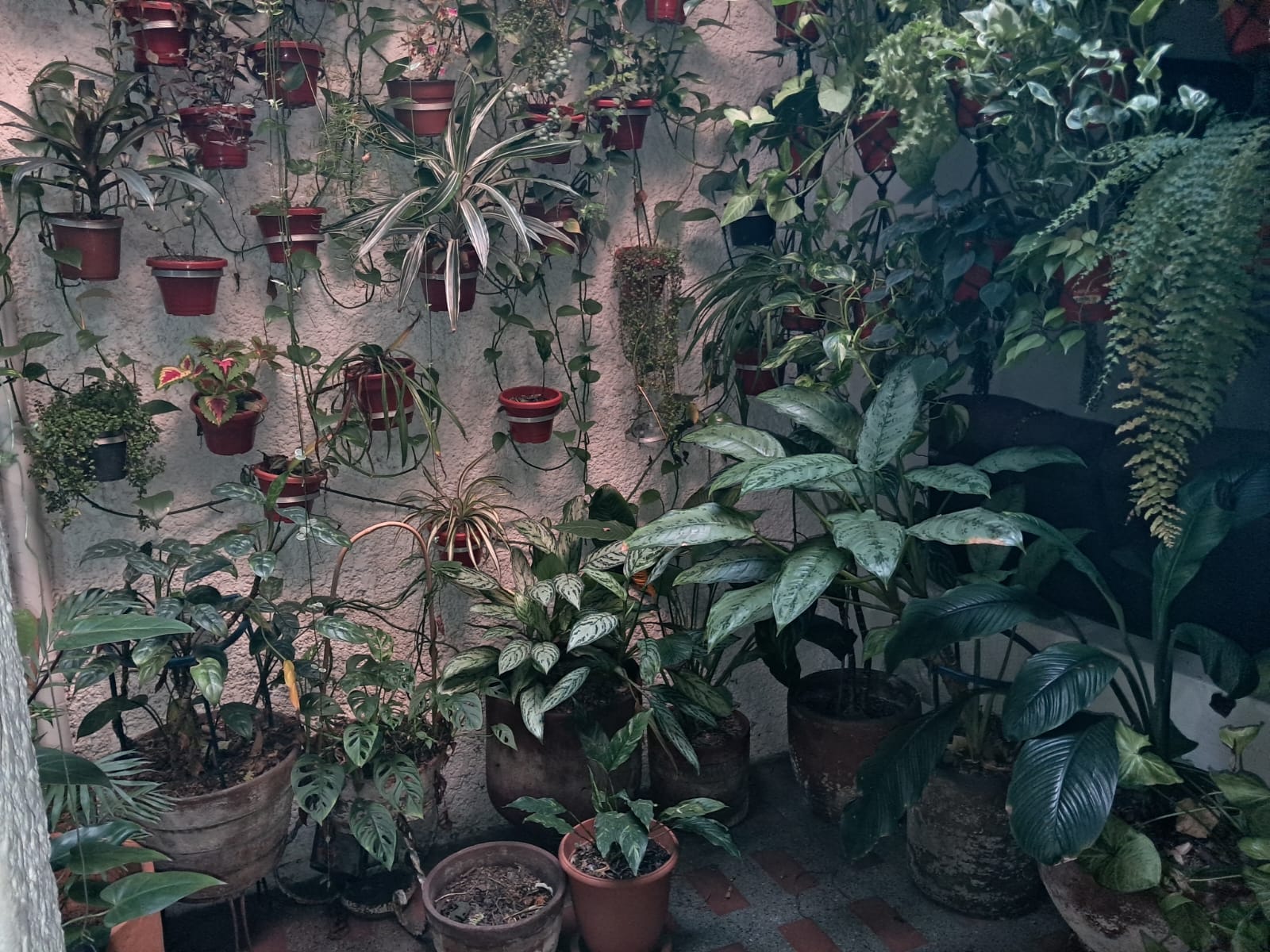 Casa Lote en Venta En Buenos Aires - Medellín