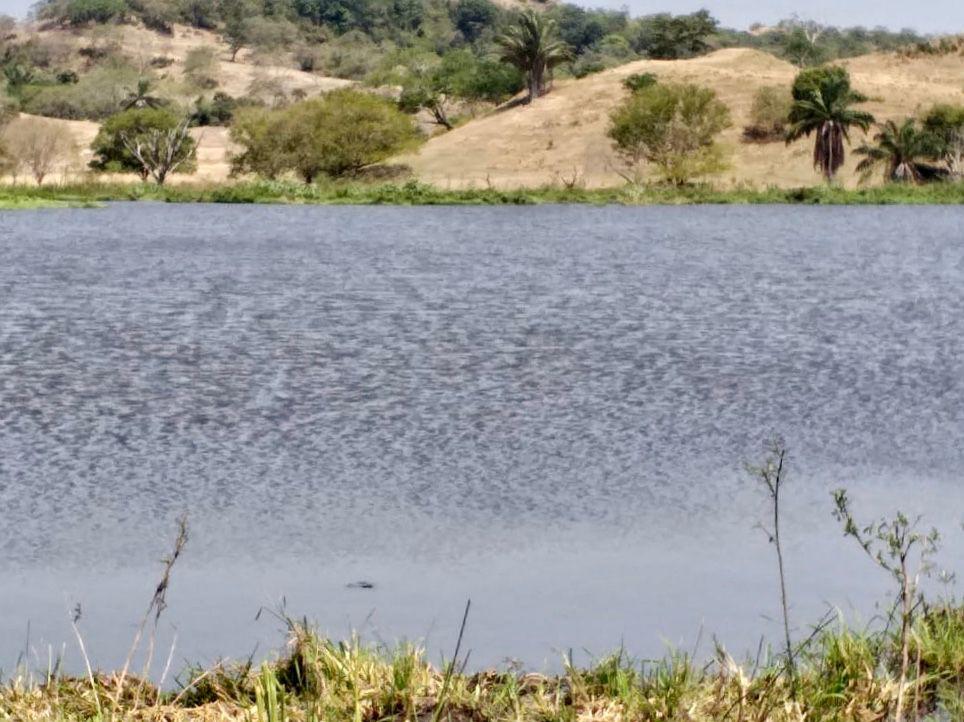 Finca en venta en el Tolima