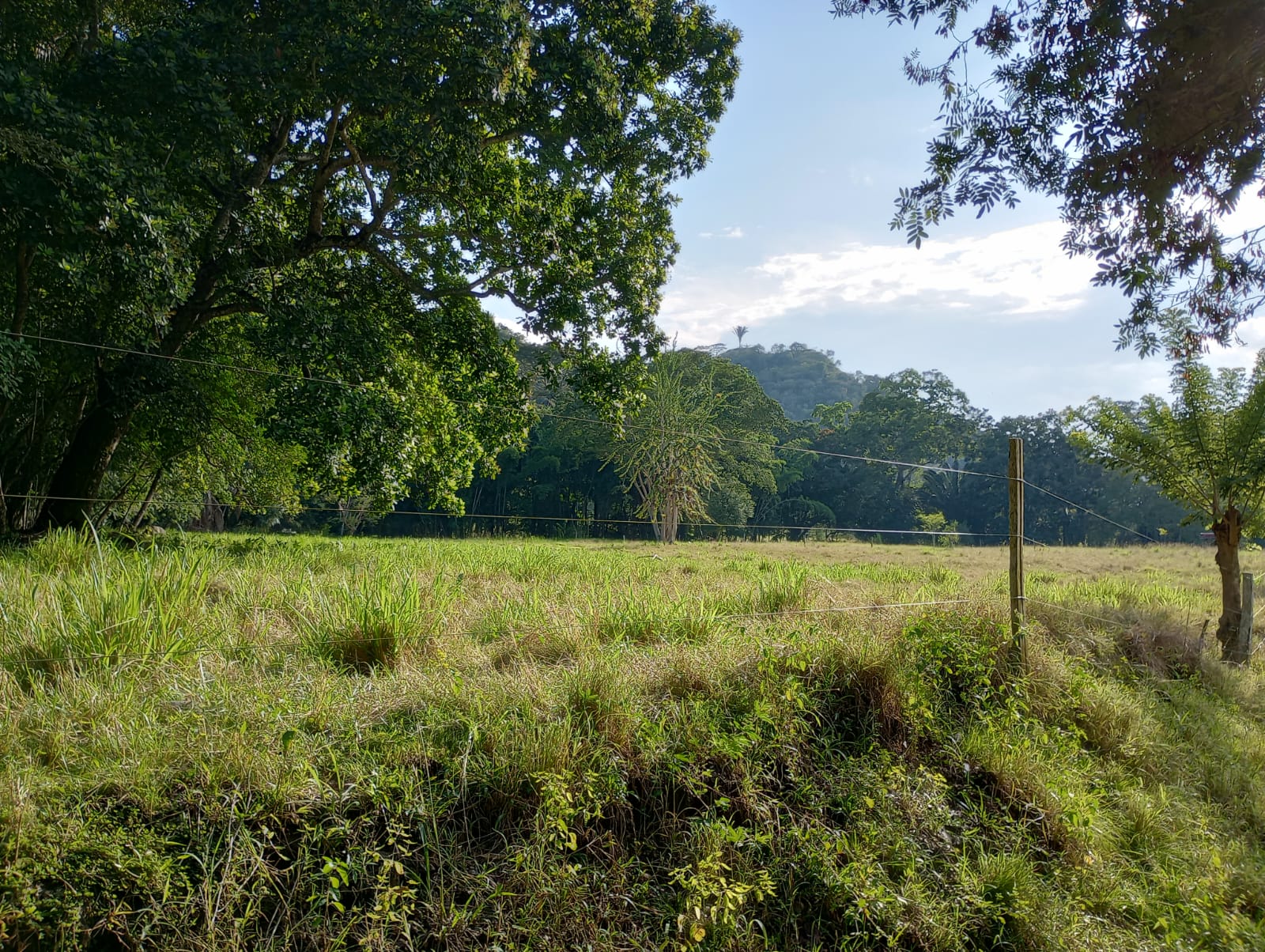 Finca en venta en Honda  Tolima