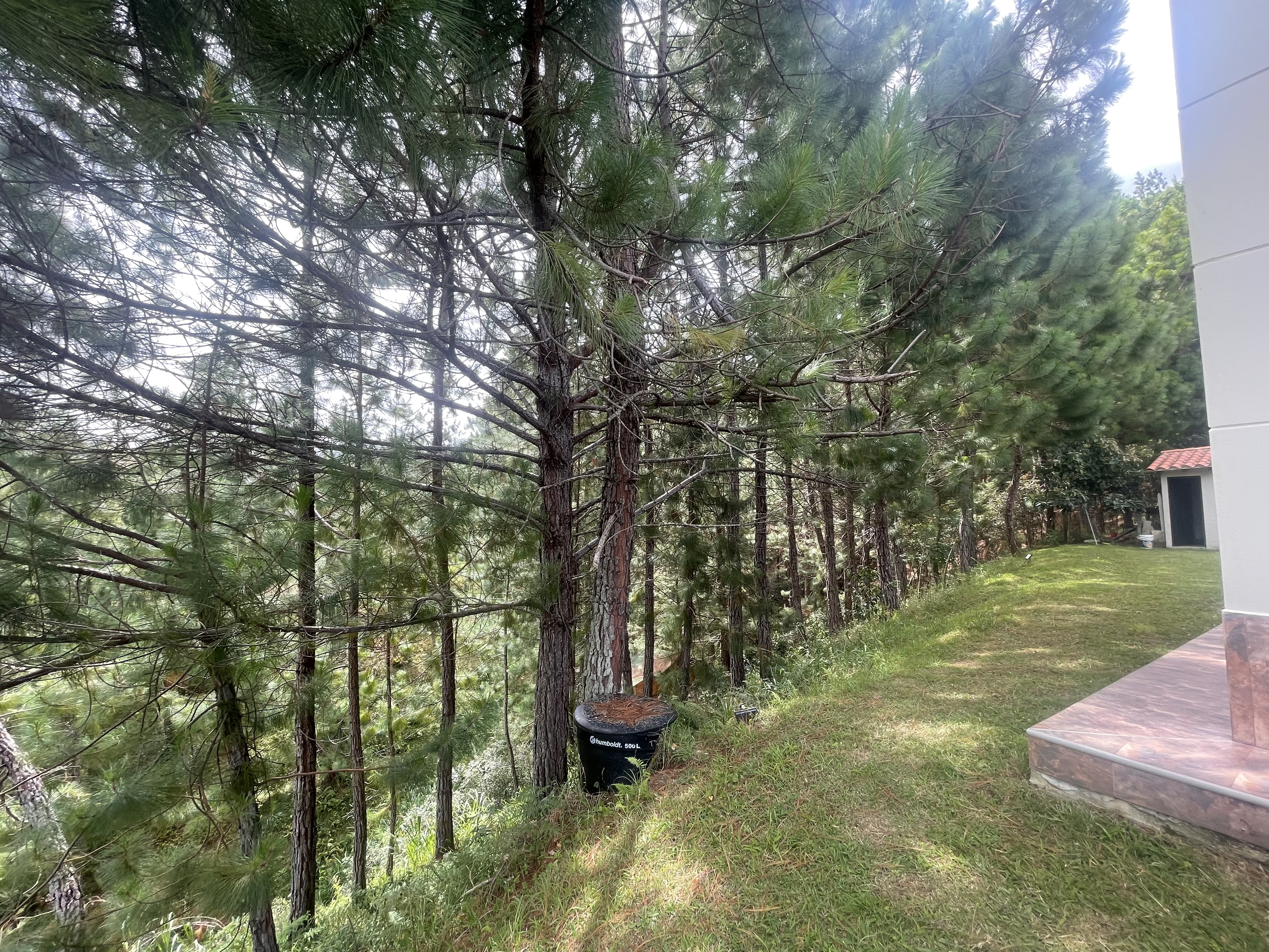 Casa campestre para la renta en San Vicente Ferrer