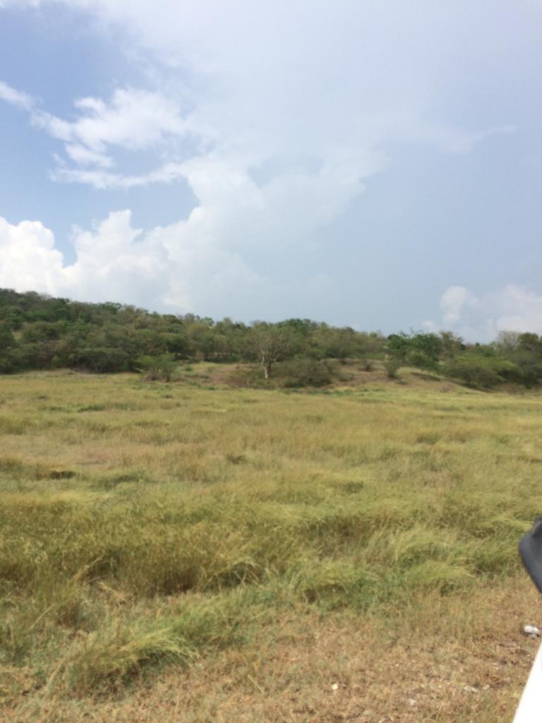 Finca en venta en Honda  Tolima