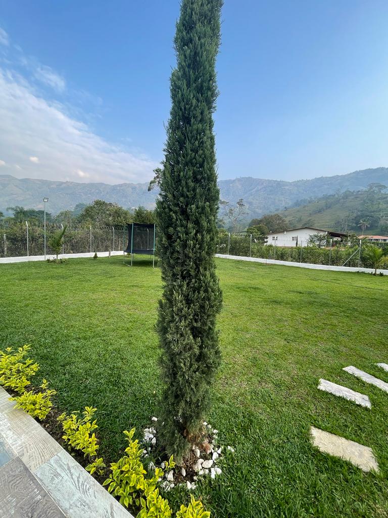 Finca en venta en Porce Antioquia