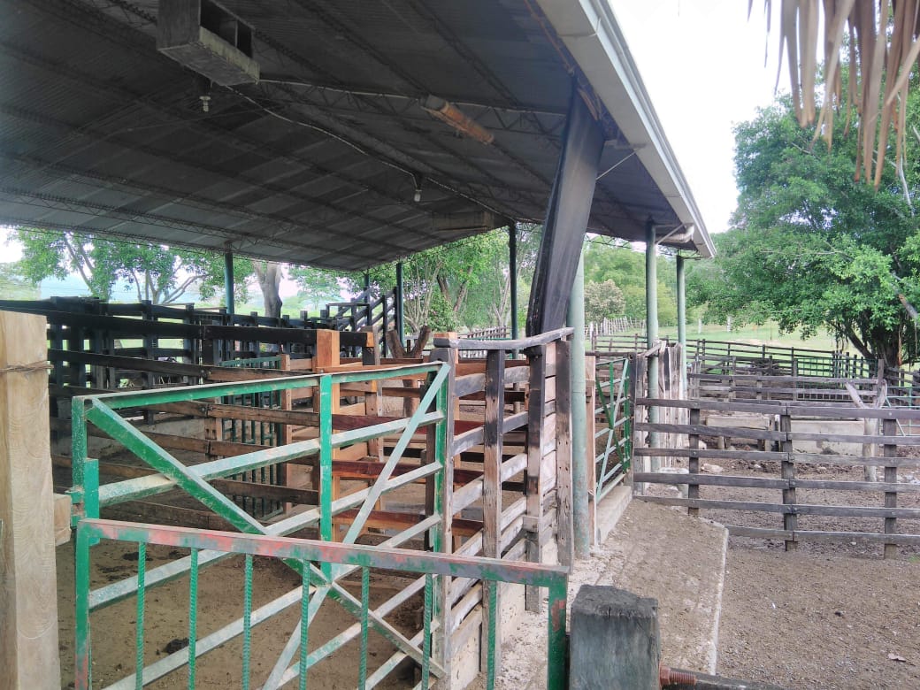 Finca en venta en Beltran  Cundinamarca