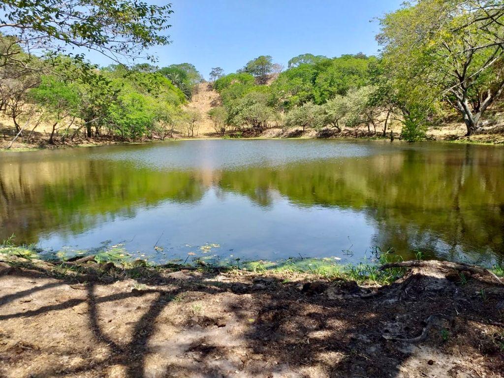 Finca en venta en el Tolima