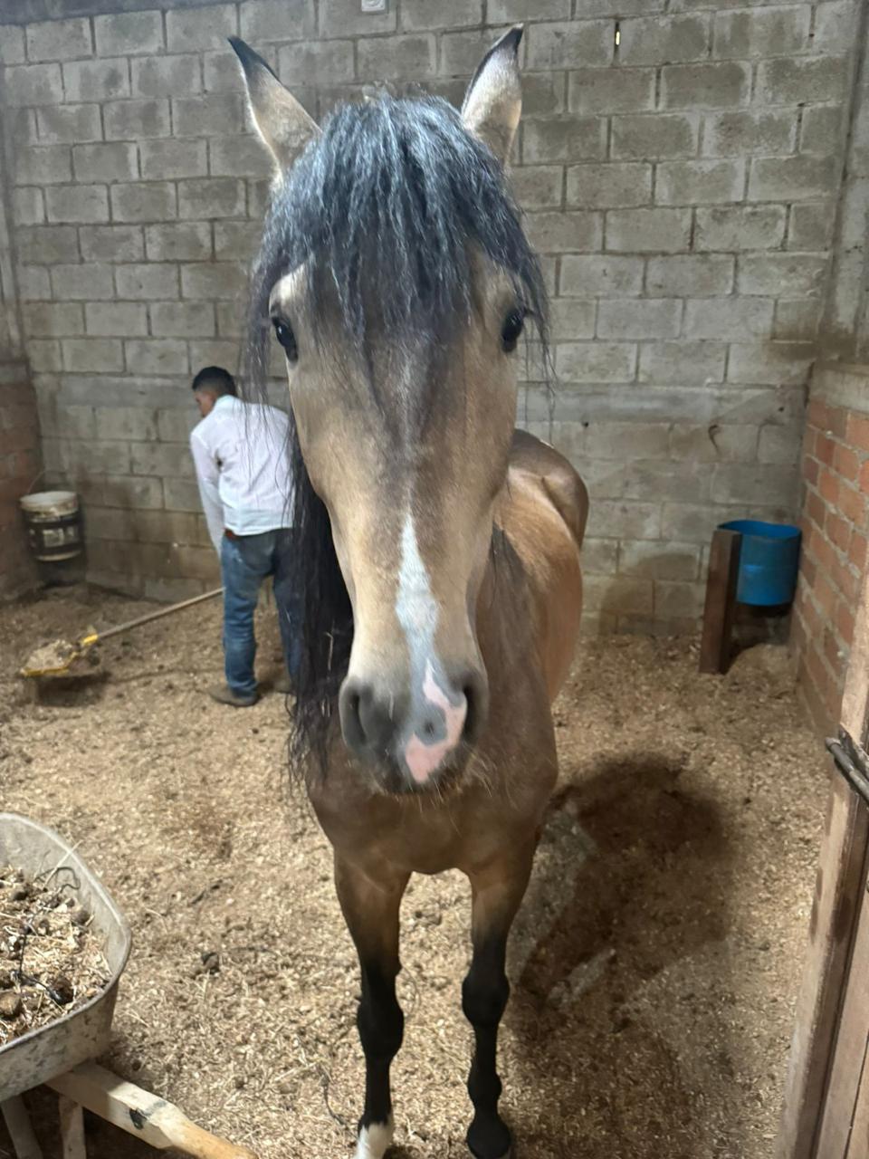 Venta de casa campestre en Caldas